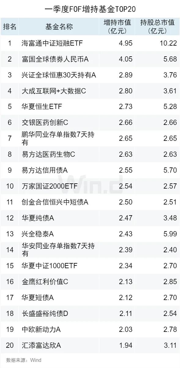 2024正版资料大全,专家意见解析_6DM41.576