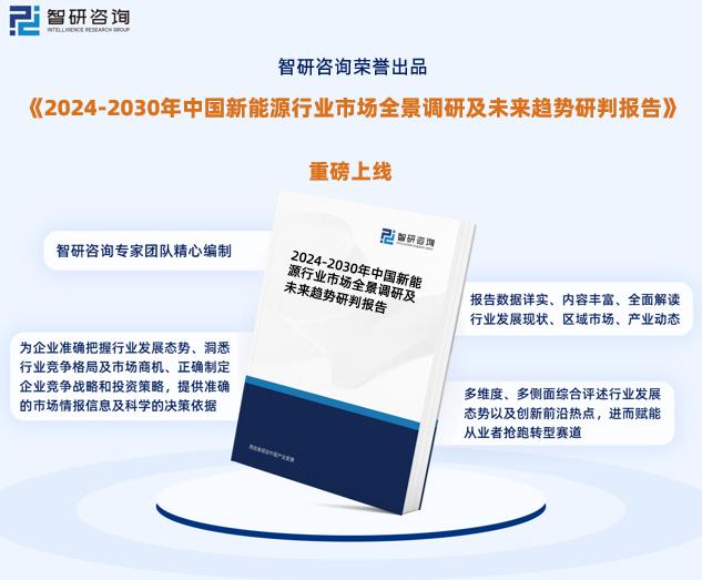 2024新奥资料免费公开,极速解答解释落实_zShop82.223