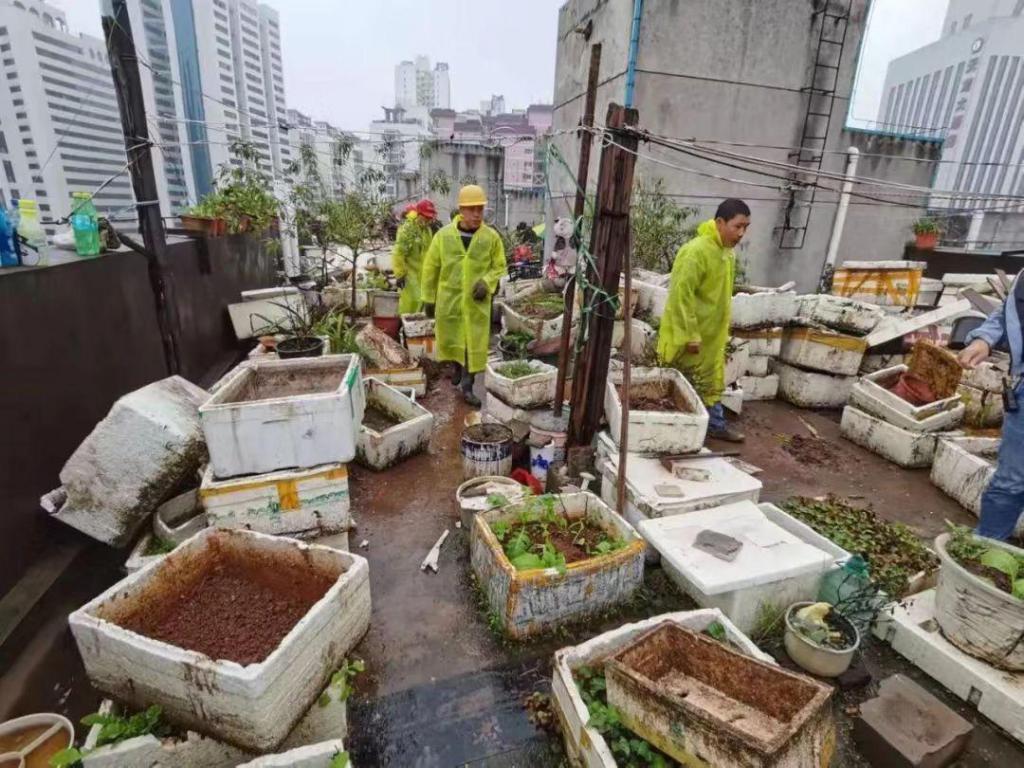 家和家大院最新动态报道