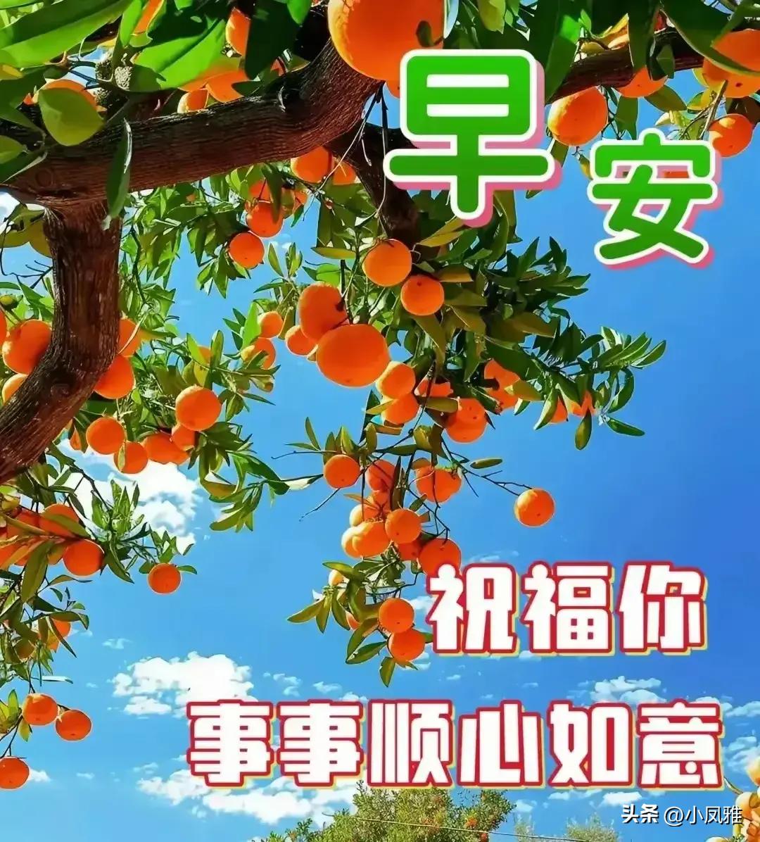 2024天天彩正版资料大全十,广泛的解释落实支持计划_特供版34.364