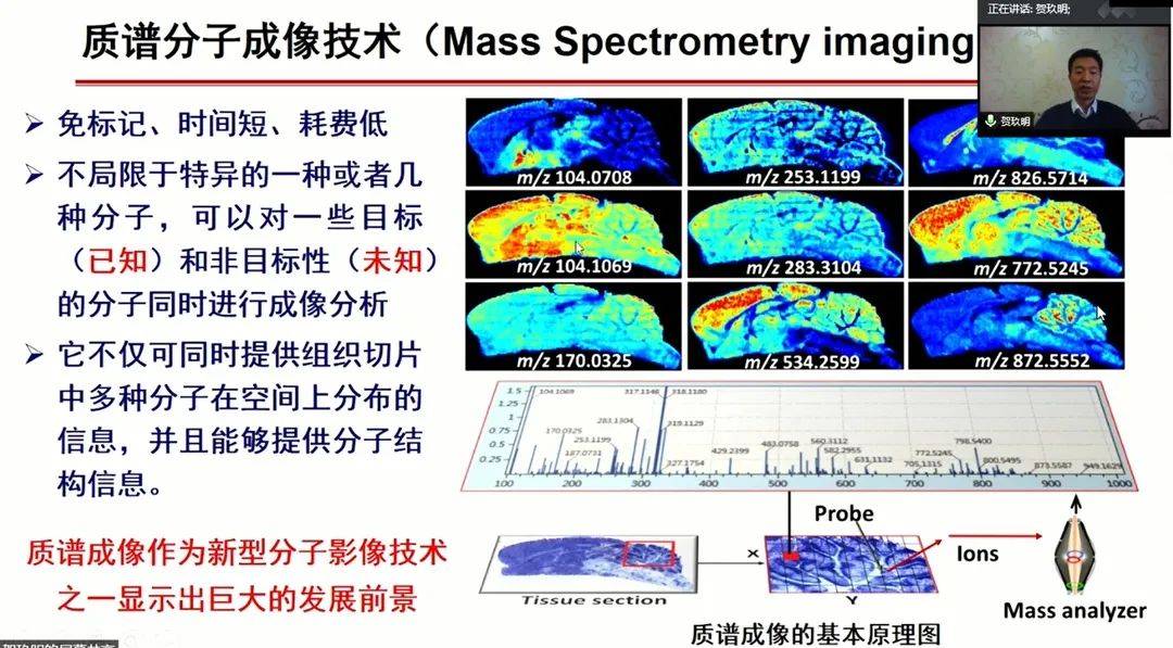 澳门最精准正最精准龙门客栈免费,科学分析解析说明_复刻版10.925