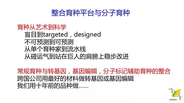 新澳门今晚精准一肖,权威分析说明_挑战款42.440