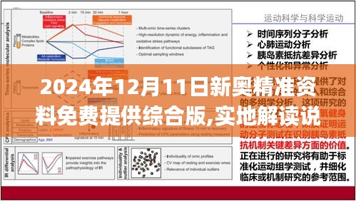 2n24新奥精准免费资料｜实用技巧与详细解析