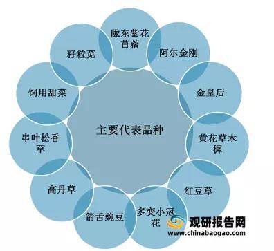 新澳最新最快资料内部139期｜连贯性执行方法评估