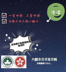 澳门精准一肖一码一一中｜全新核心解答与落实