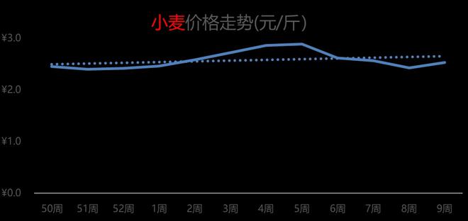 济南小麦价格最新行情解析