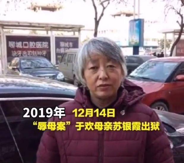 辱母杀人案最新进展，法律与社会正义的交汇点探讨